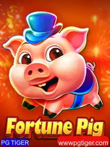 PG TIGER Casino App