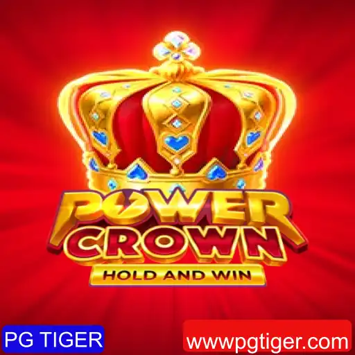 PG TIGER Jogo Responsável