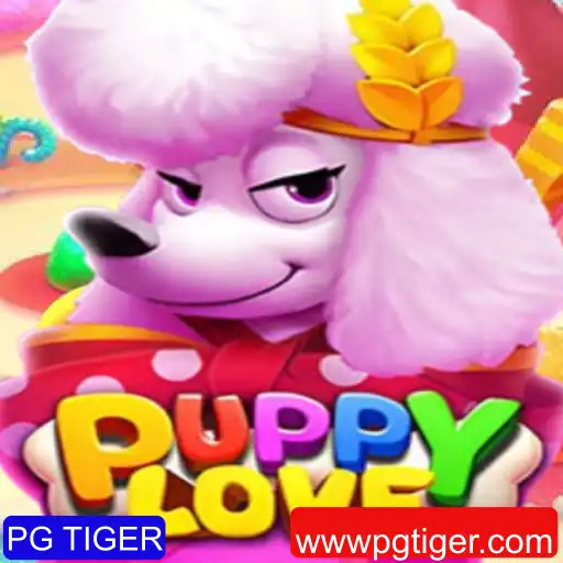 PG TIGER Jogos de bingo